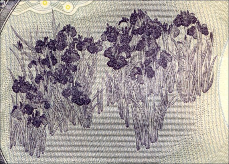 E五千円券の裏面