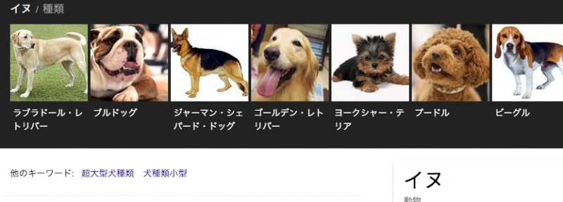 犬の種類も一覧で