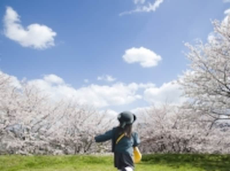 幼稚園入園のイメージ