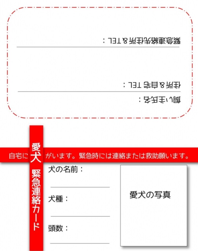 愛犬用エマージェンシーカード見本(表)