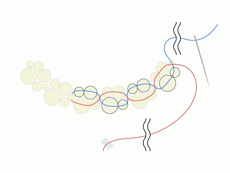 キレイな弓型になるよう心がけて