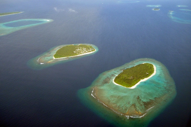 スキューバ,ダイビング,地球温暖化,サンゴ,白化,海水温,海面上昇,海水酸性化,IPCC,第5次評価報告書,COP21,パリ協定
