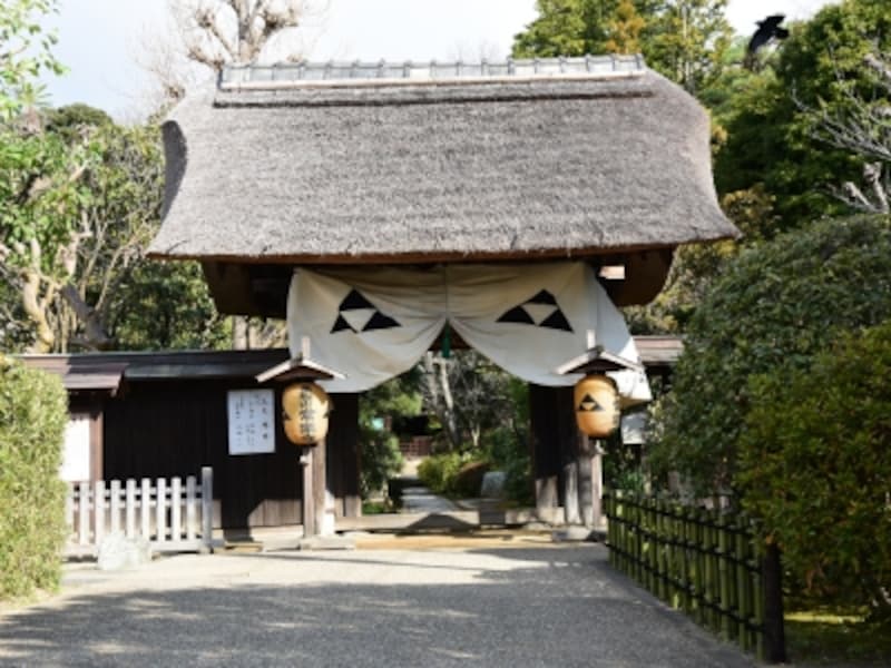 常楽寺の茅葺き屋根の山門