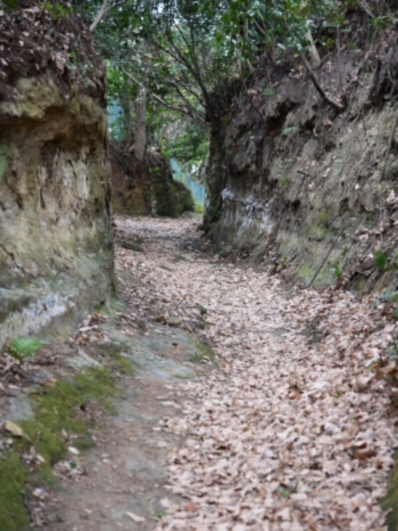 「切通し」の道