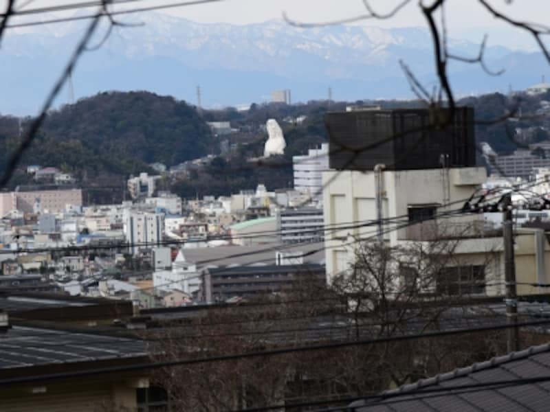 登山口の石段から見える大船観音