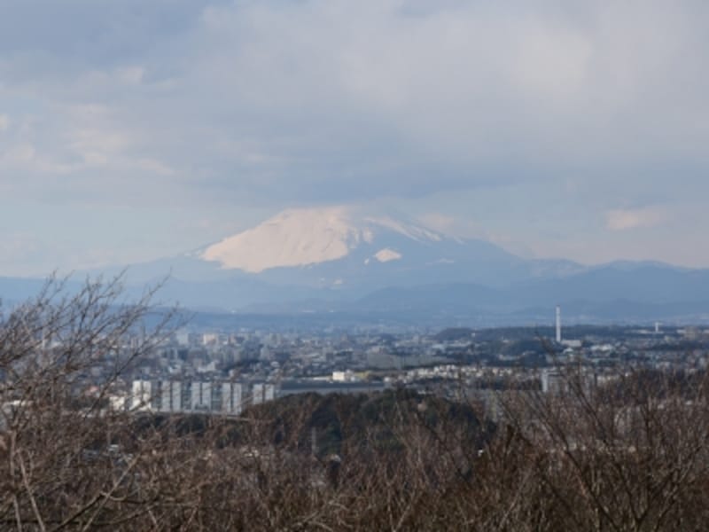 冬は富士山も見える(六国見山展望台より)
