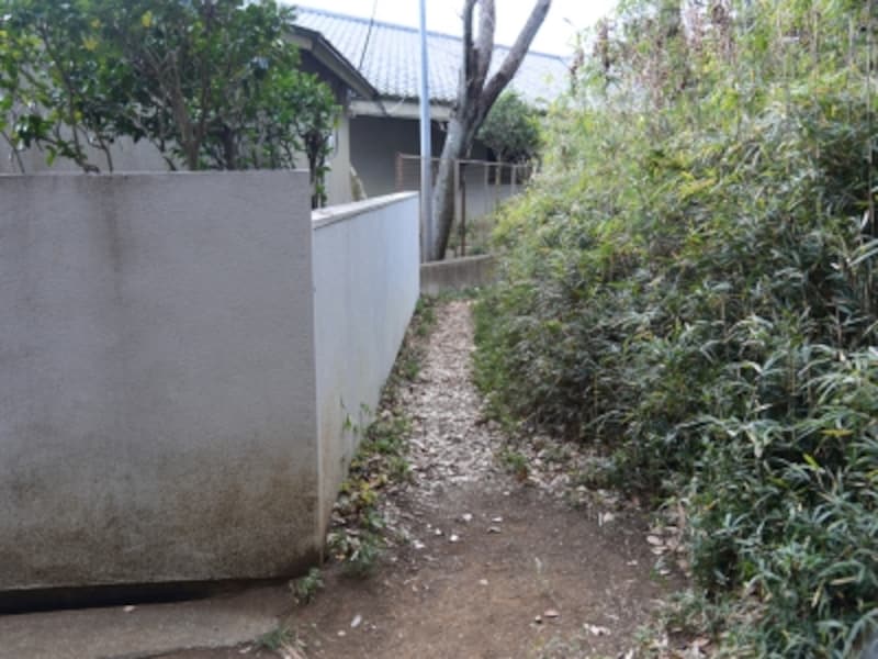 家の塀に沿うようにして、細道を進む