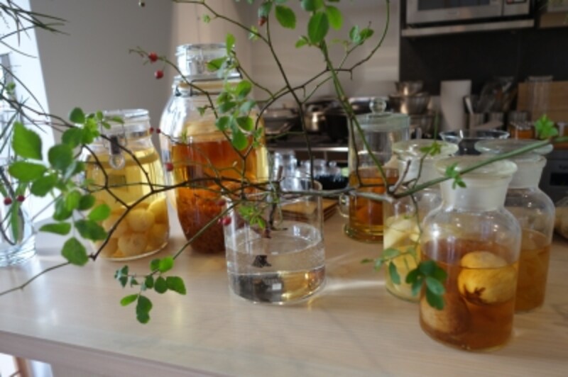 カフェにディスプレイされた果実酒。