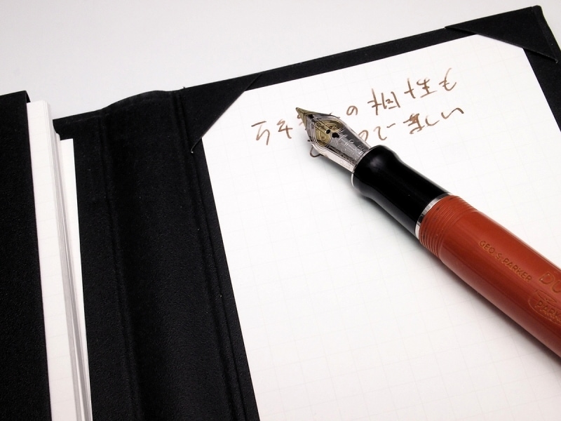 メモッタラプラス08