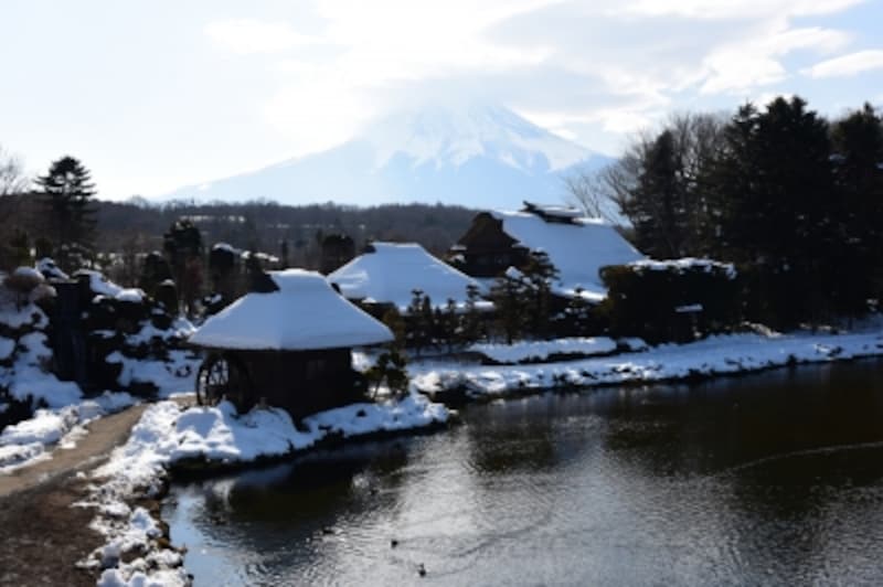 忍野八海資料館の展望台からの眺め