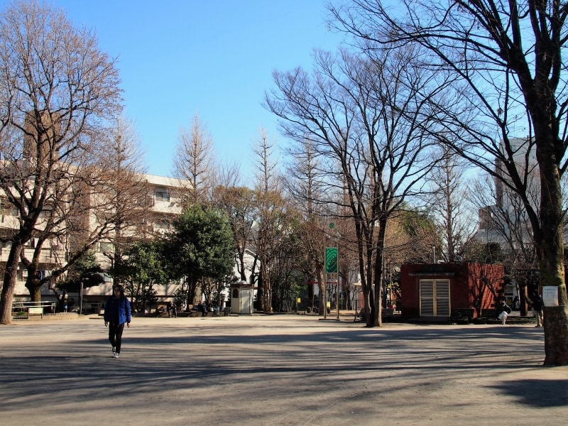 自然が多く、広い公園だ