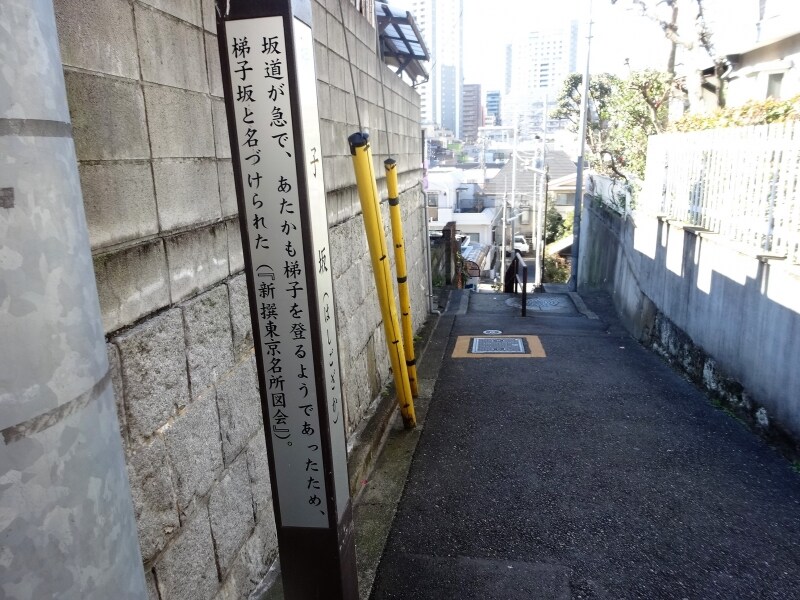 あたかも梯子をのぼるような急な坂だった