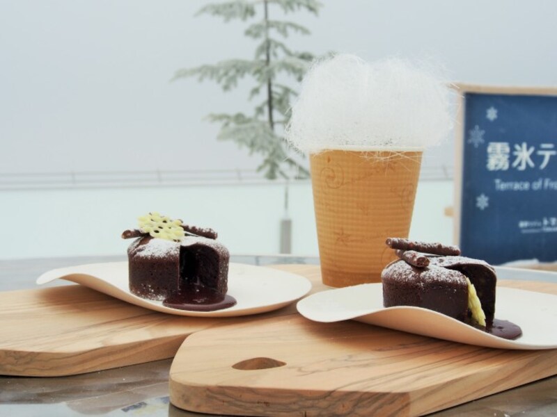 撮影：渡部郁子