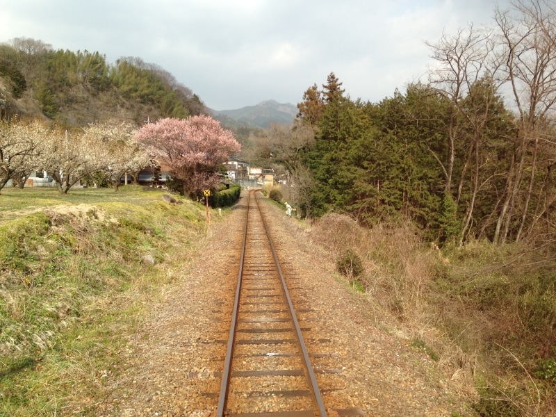 列車からの風景
