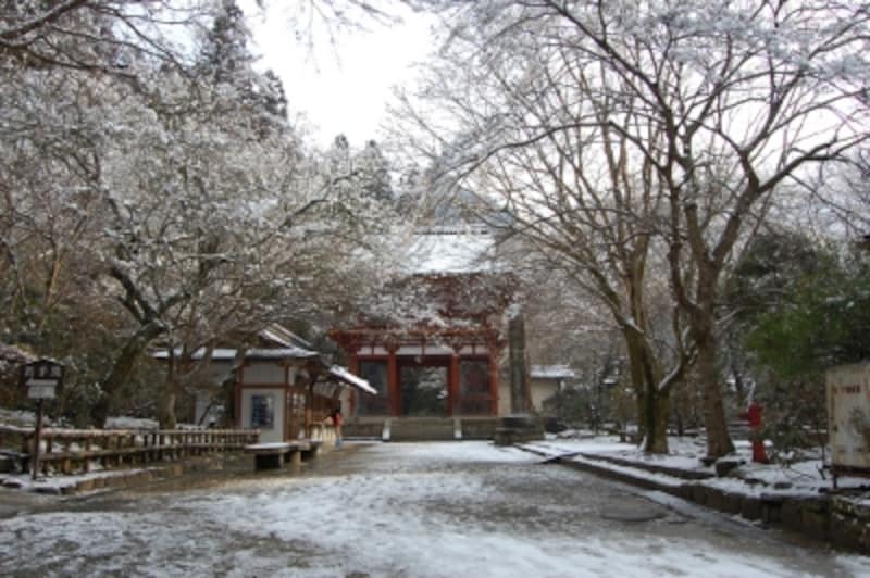 雪に覆われた室生寺参道と仁王門