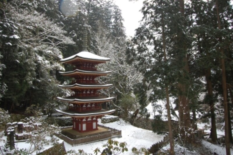 別の場所から見ると、印象が異なる