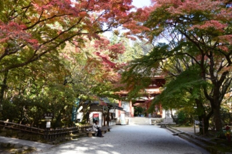 紅葉の季節の室生寺仁王門付近