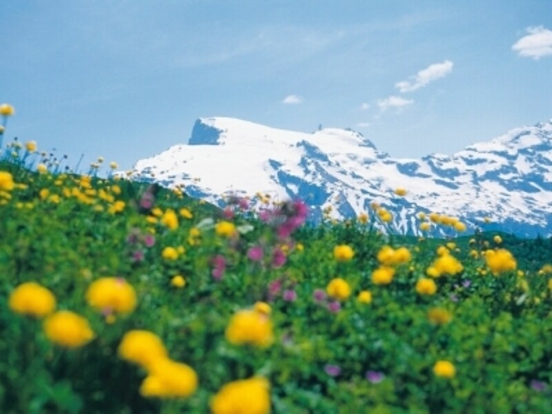 エンゲルベルグ