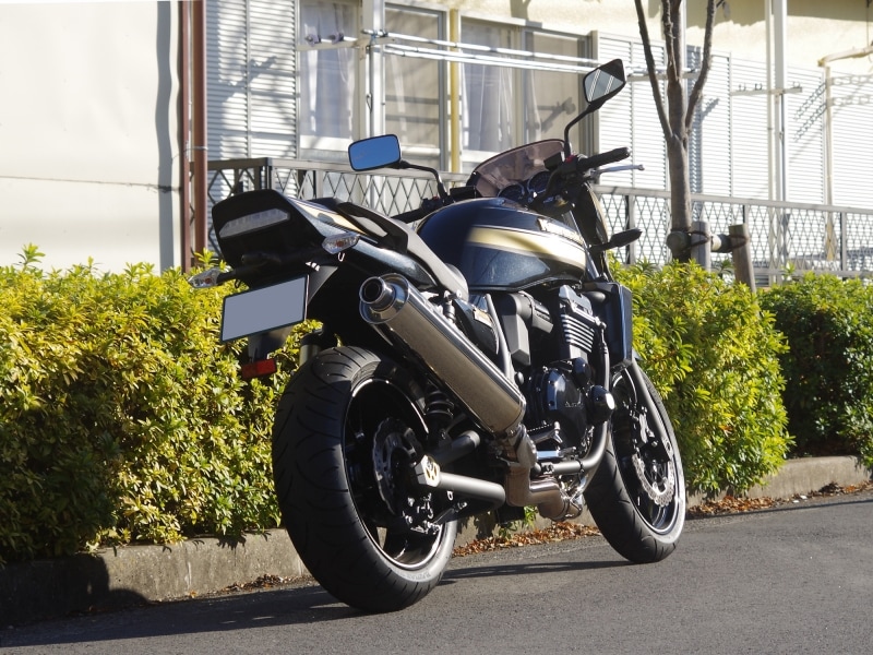 ZRX1200DAEGリアビュー