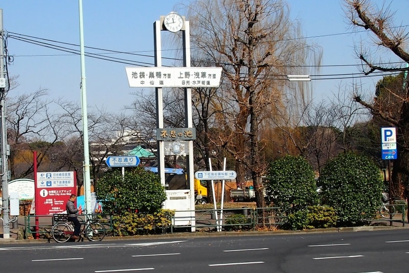 不忍通りを北上する