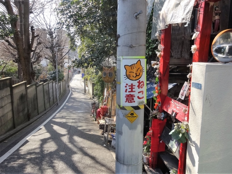 営業は金、土、日、祝日の11：30～18：00