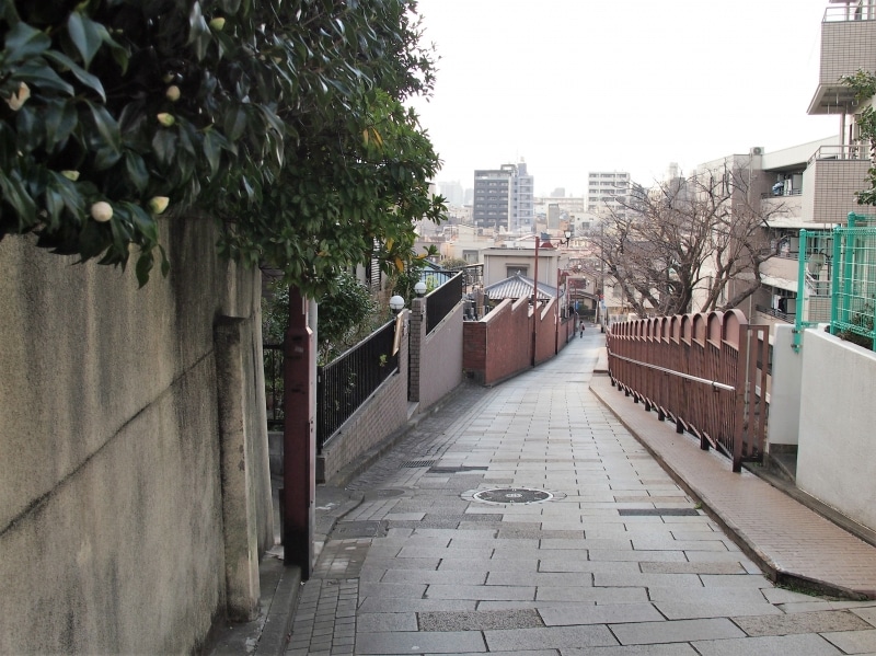 以前はここから富士山が見えていた