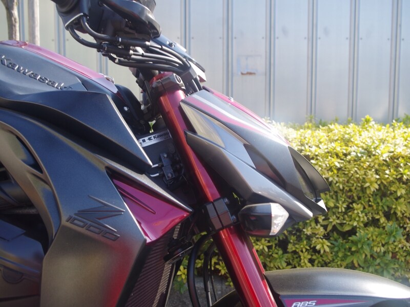 低く構えたヘッドライトは獲物を狙う猛獣のよう