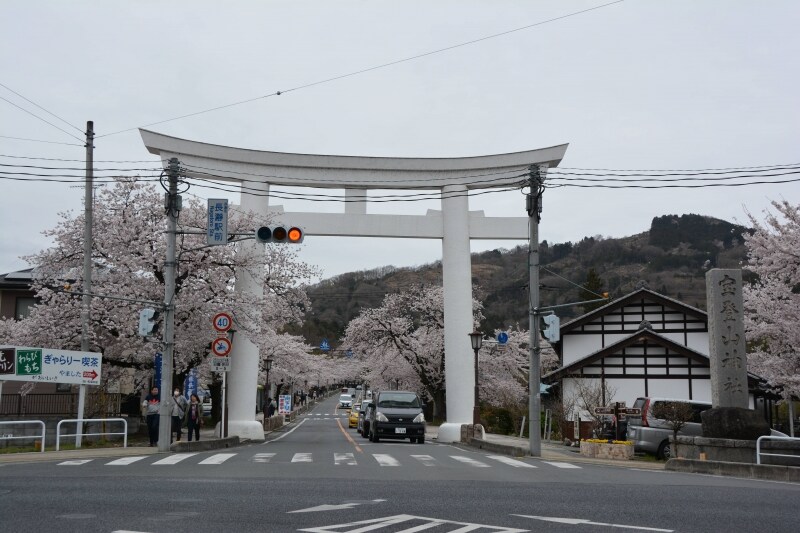 宝登山神社参道を彩る桜並木