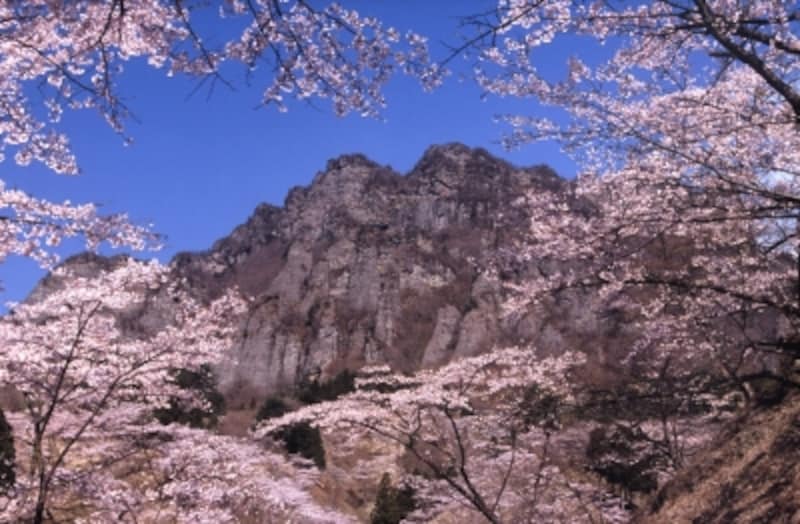 群馬の桜名所10選 おすすめお花見スポット18 群馬の観光 旅行 All About 群馬の桜名所10選 おすすめお花見スポット18 群馬の観光 旅行 All About