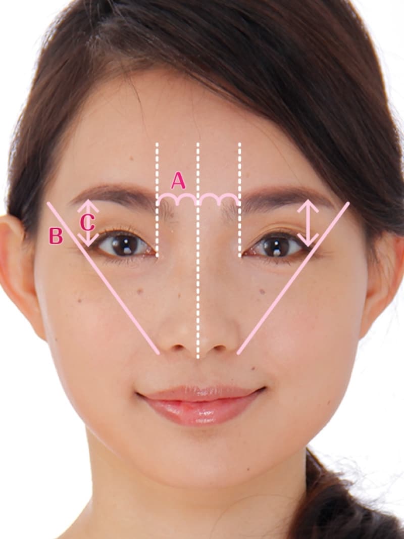 キレイな眉毛の黄金比