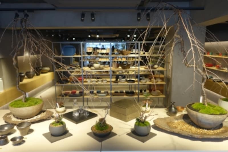 景色盆栽のある風景。