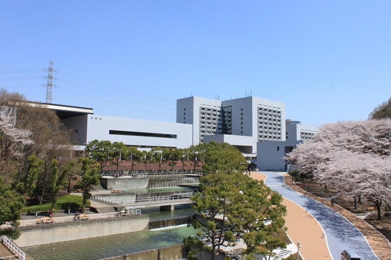 解説画像