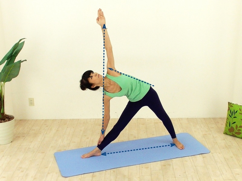 三角のポーズは複雑です。私は大丈夫と思っても、もう一度確認してみて下さいね。