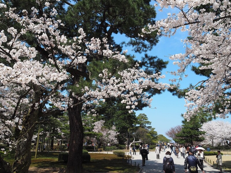 兼六園