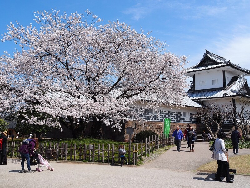 石川門@金沢城公園