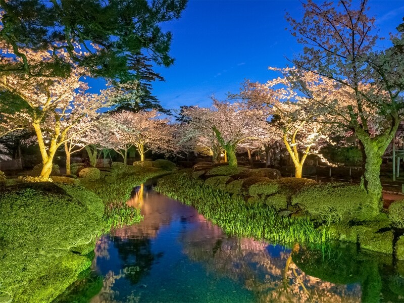 ライトアップ@兼六園