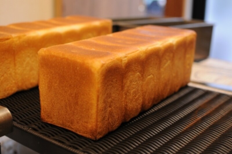 アカリブレッド