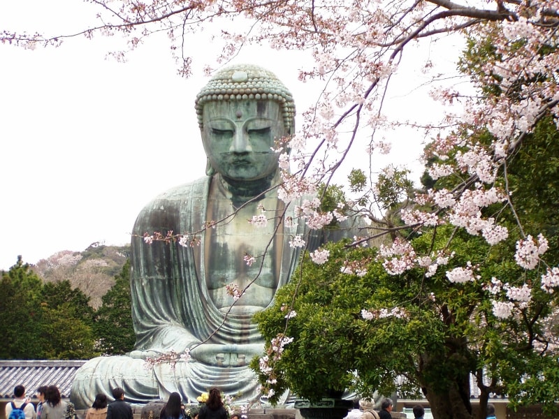 大仏像とサクラ