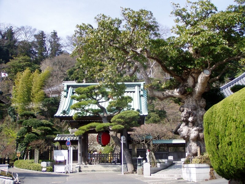 長谷寺の山門