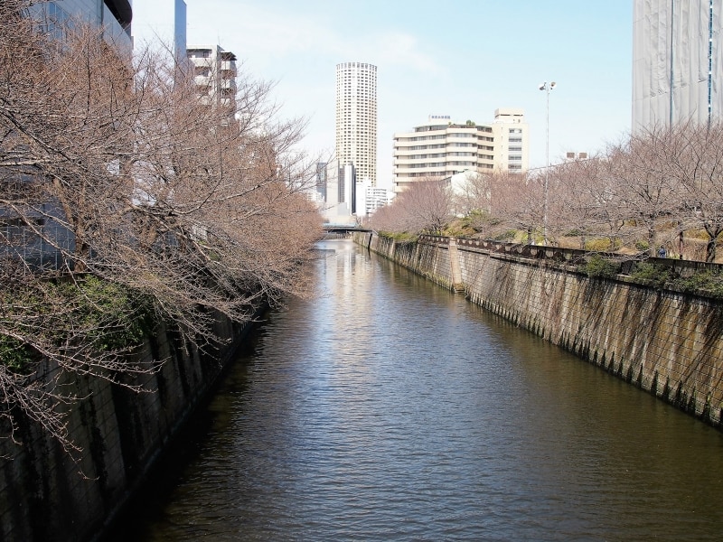 目黒川はいつ見てもいい景観だ