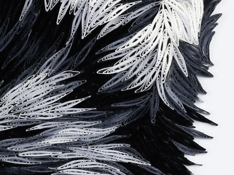 AJCクリエイターズコンテスト2016