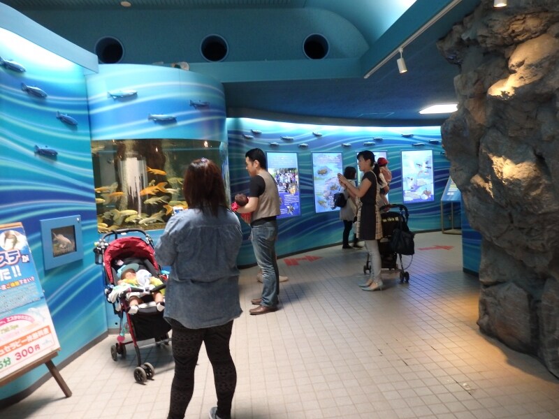 荒川に生きる生物が勢揃いするさいたま水族館