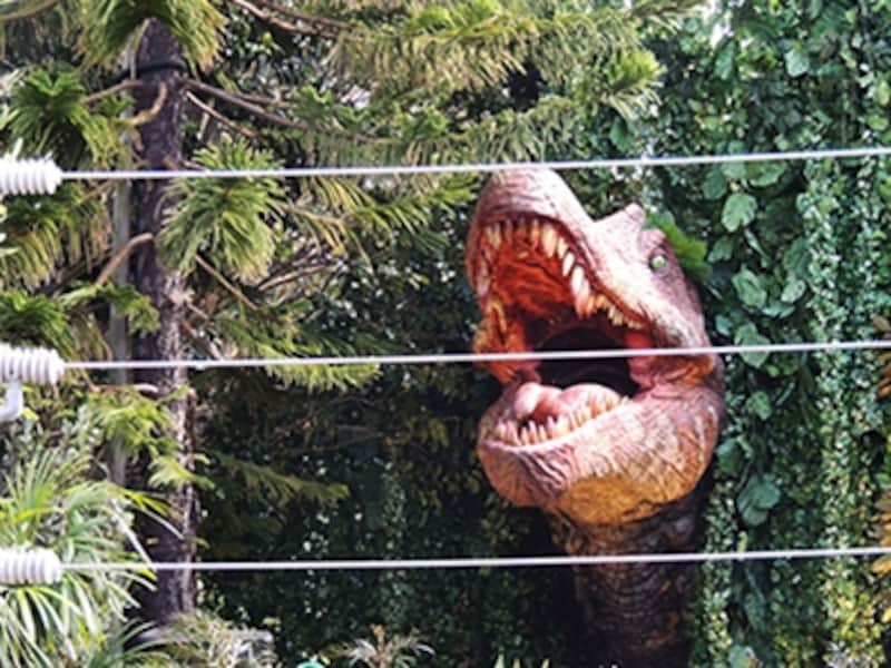 ユニバーサル・スタジオ・ジャパン