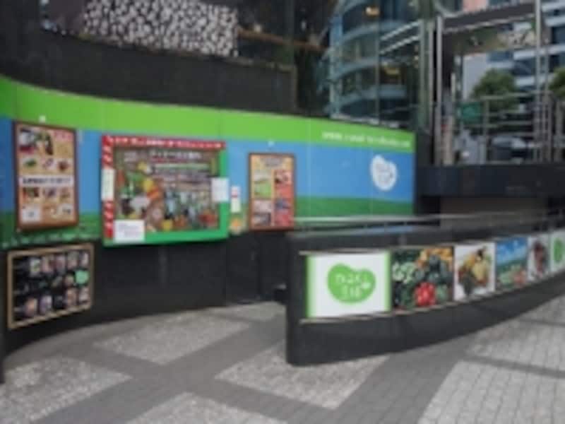 やさいの王様 日比谷店