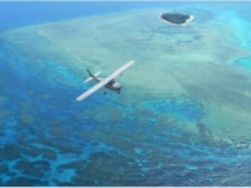 青の世界を独り占め