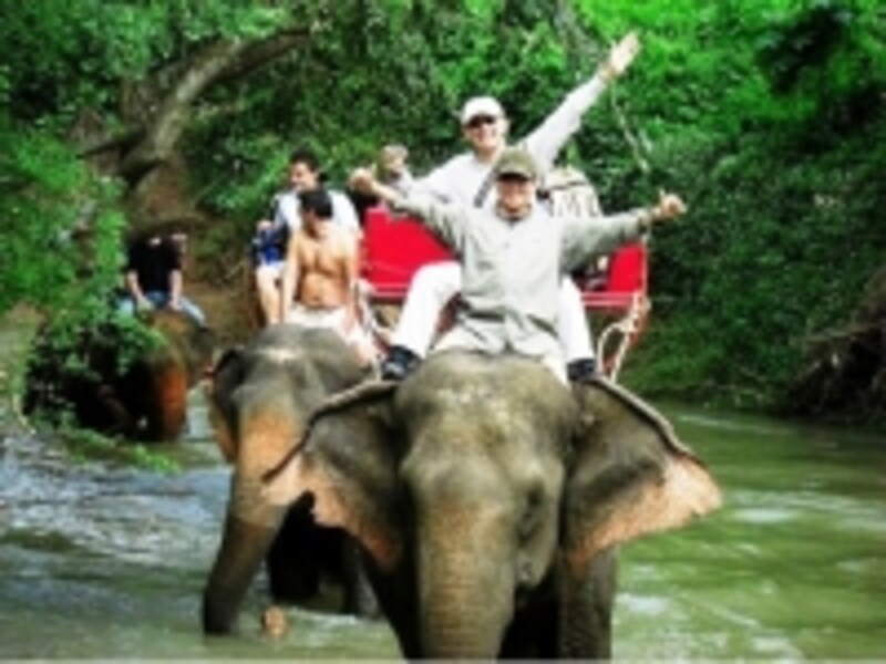 エレファントトレッキング