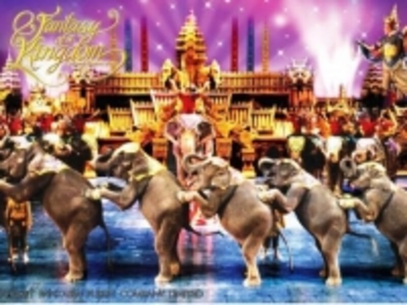 る豪華絢爛のショー