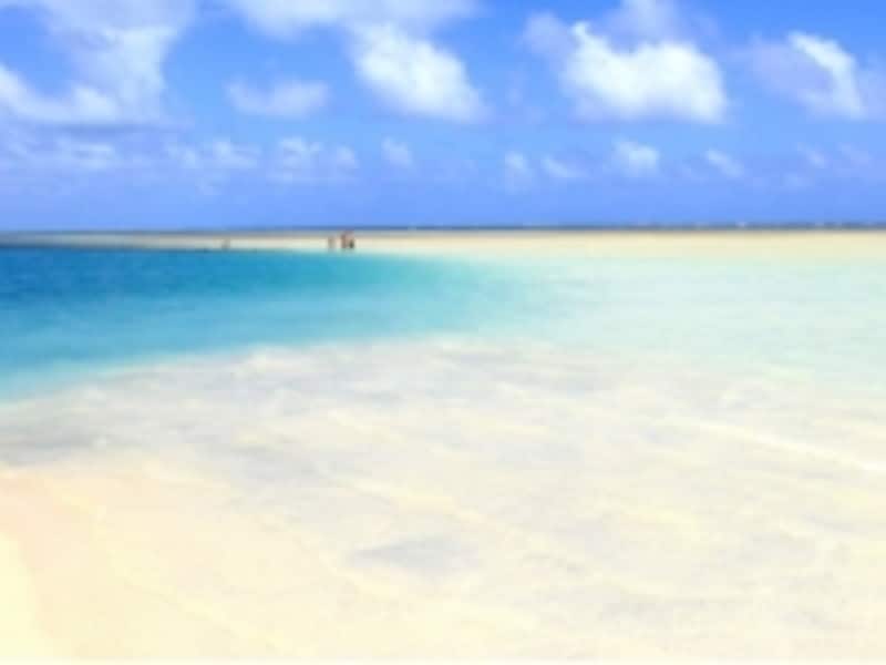 幻想的なサンドバー