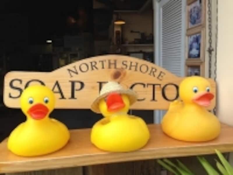 かわいいダックたちがお出迎え