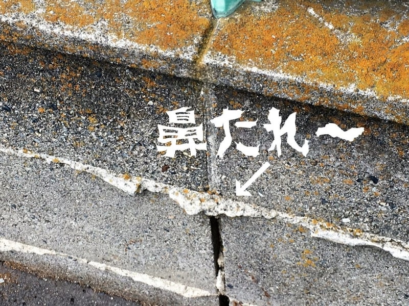 鼻たれブロック